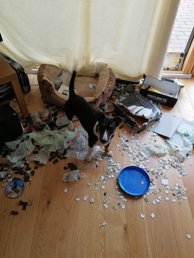 Прикольных картинок пост