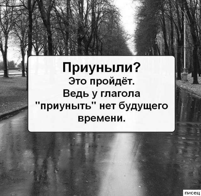 Все приколы Сентября. Финал