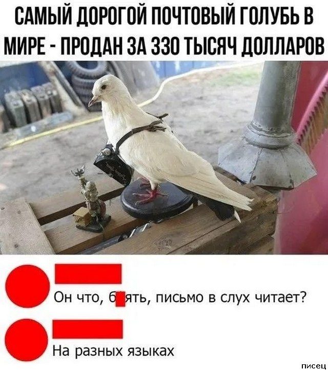 Приколы из соцсетей. Класс!