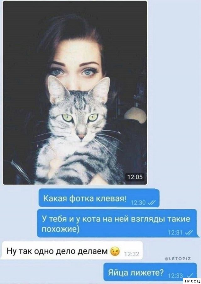 18 забавных SMS, которые доставят вам незабываемое удовольствие