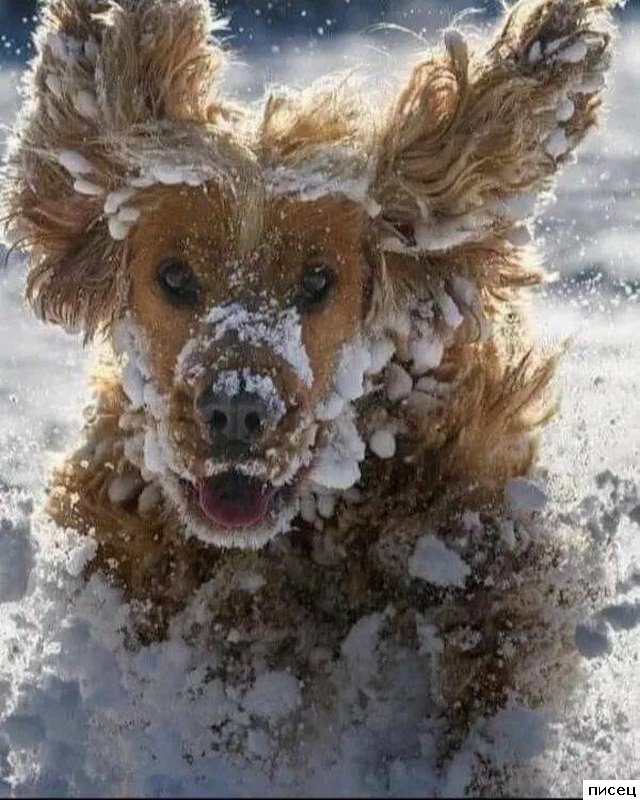 Зимние приколы на прощанье. Кайф!