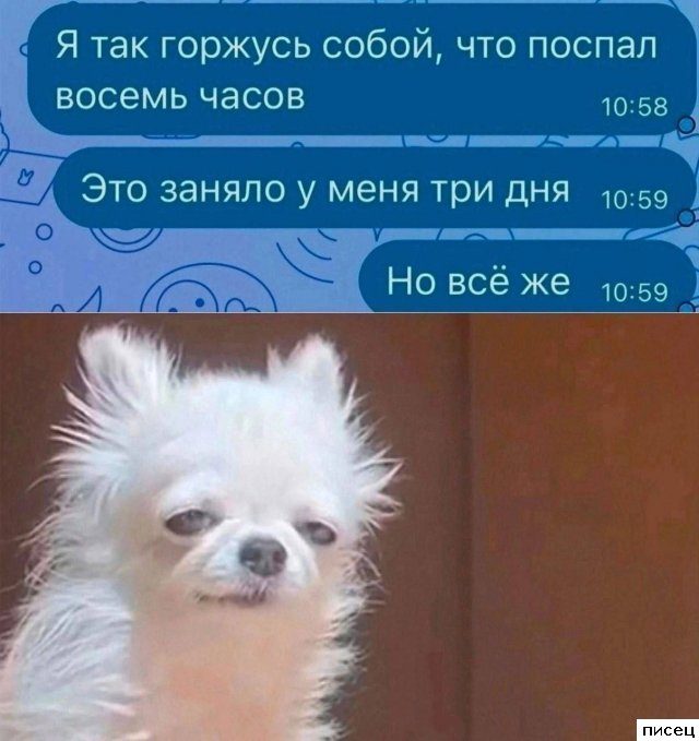 18 весёлых SMS, которые доставят всем незабываемое удовольствие