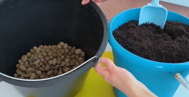 Эффективный способ выращивания огурцов в вёдрах