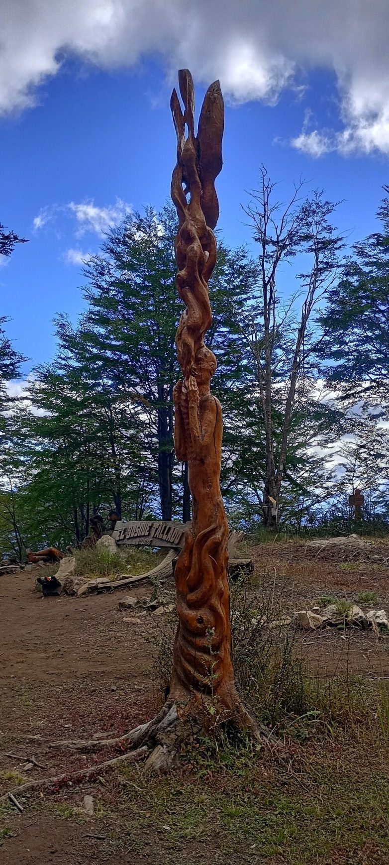 Лес скульптур, вдохнувших новую жизнь в мёртвые деревья