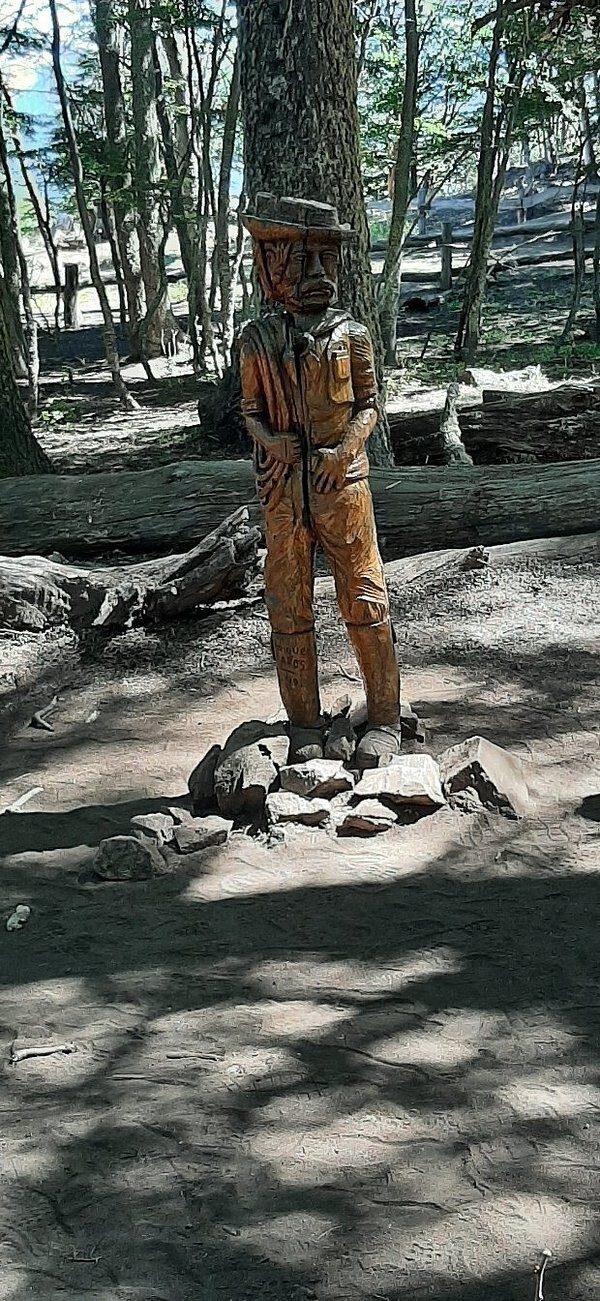 Лес скульптур, вдохнувших новую жизнь в мёртвые деревья