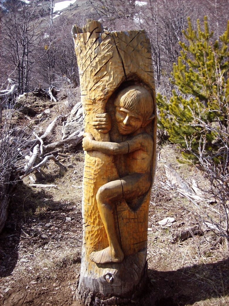 Лес скульптур, вдохнувших новую жизнь в мёртвые деревья