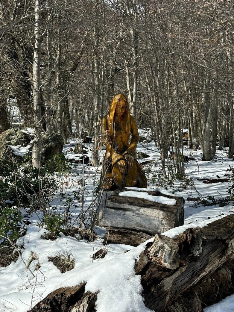 Лес скульптур, вдохнувших новую жизнь в мёртвые деревья