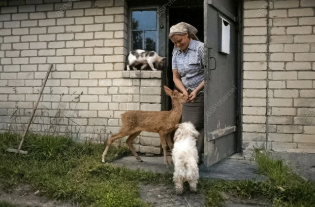 Исторические шедевры. Потрясно!