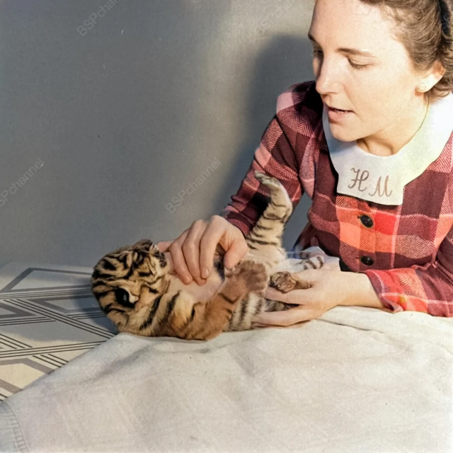 Исторические шедевры. Потрясно!