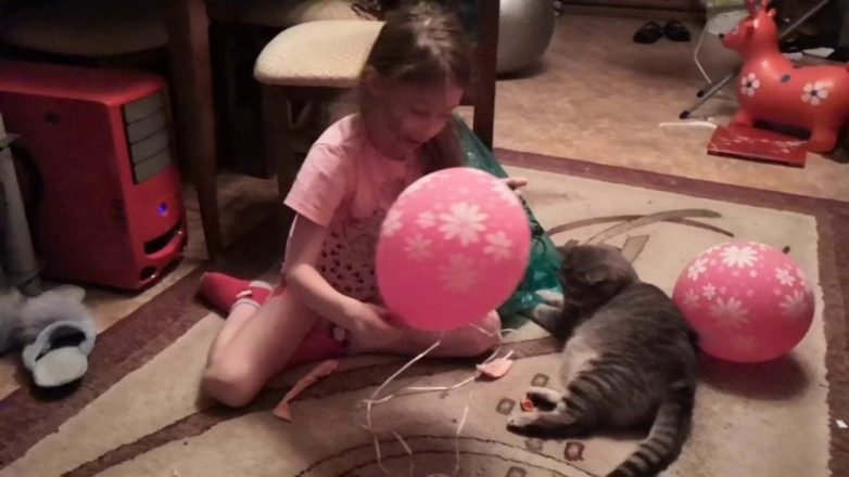 Кошачья реакция на воздушные шары