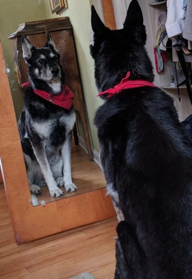 «Кто здесь?!»